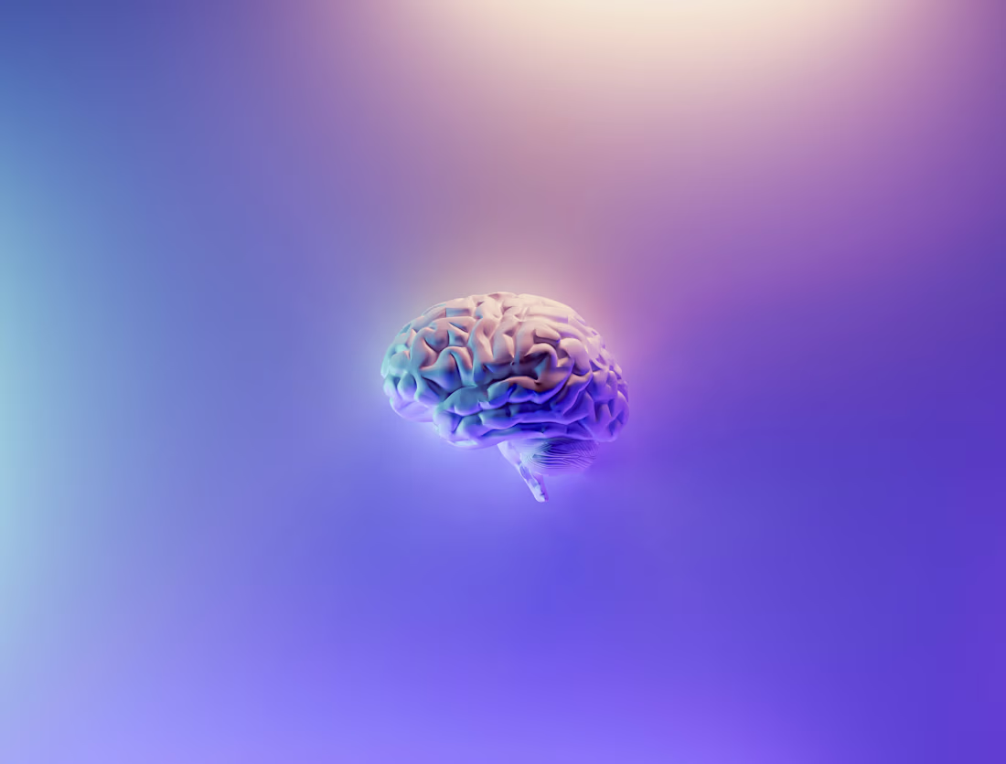 Cover image for My Editing Process: Cognitive Biases