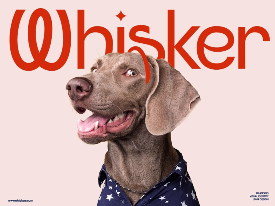 Cover image for Whisker® | Petcare & Food Branding