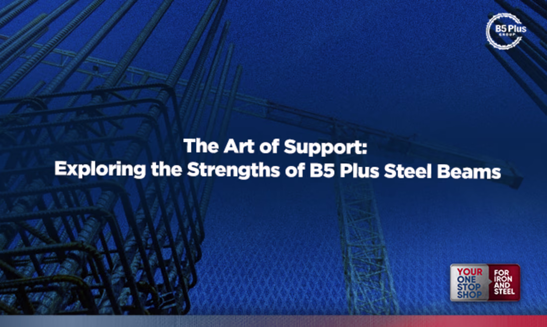Cover image for The Art of Support: B5 Plus's Steel Beams