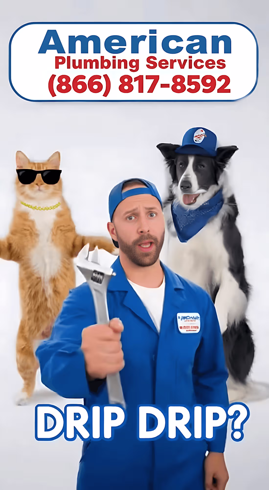 Cover image for Viral Jingle Strategy: Plumbing Ad Breakthrough