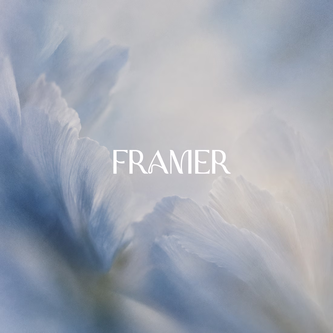 Cover image for Framer Website Design & Development for Startups