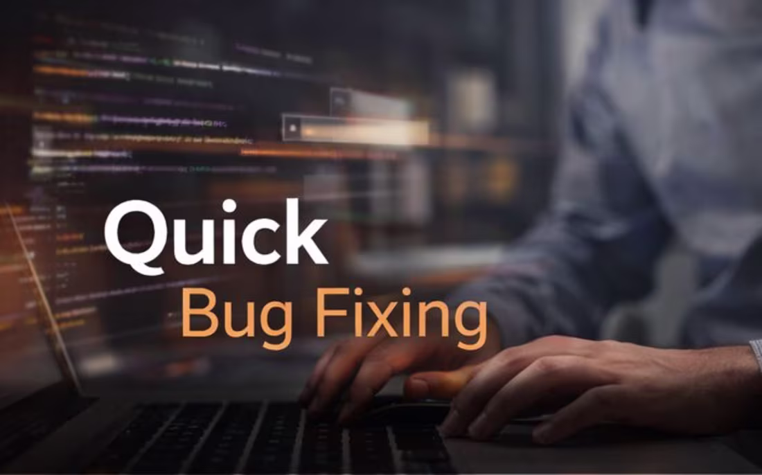 Cover image for Quick Bug Fixing