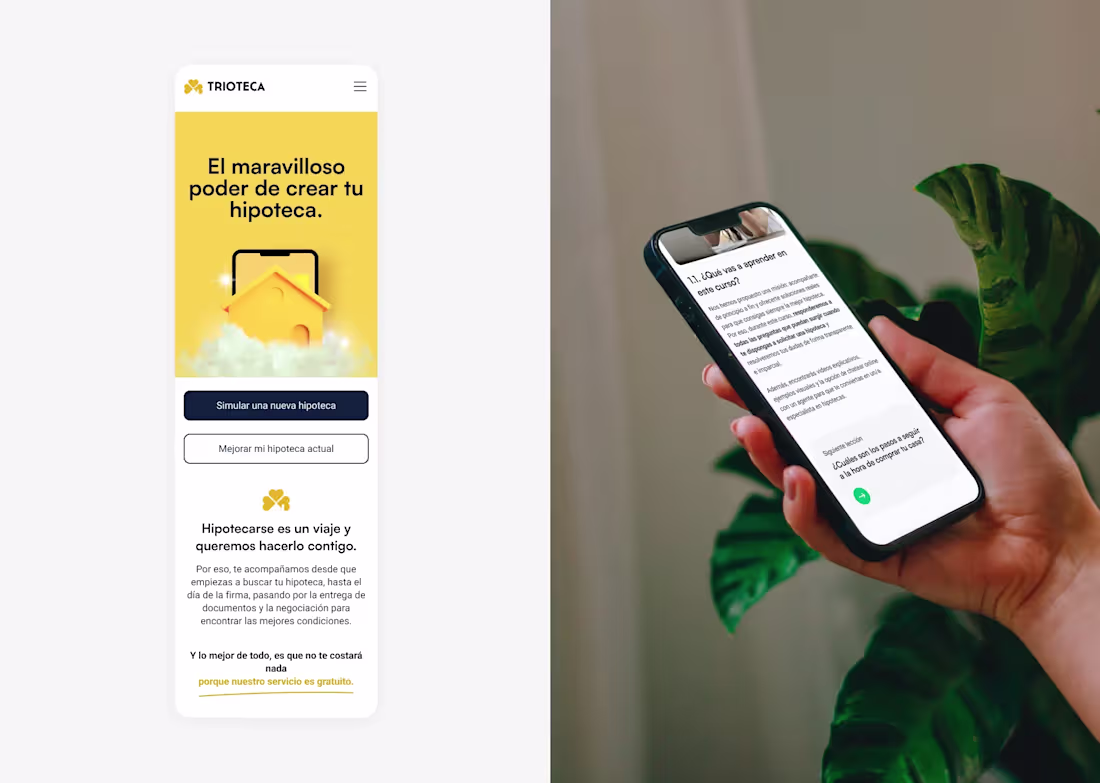 Cover image for Trioteca Brand Design & Website