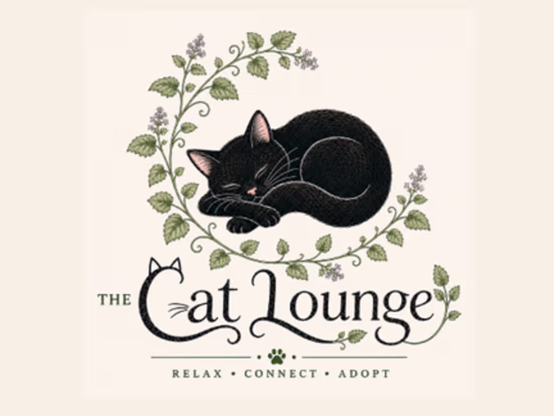 Cover image for The Cat Lounge is a