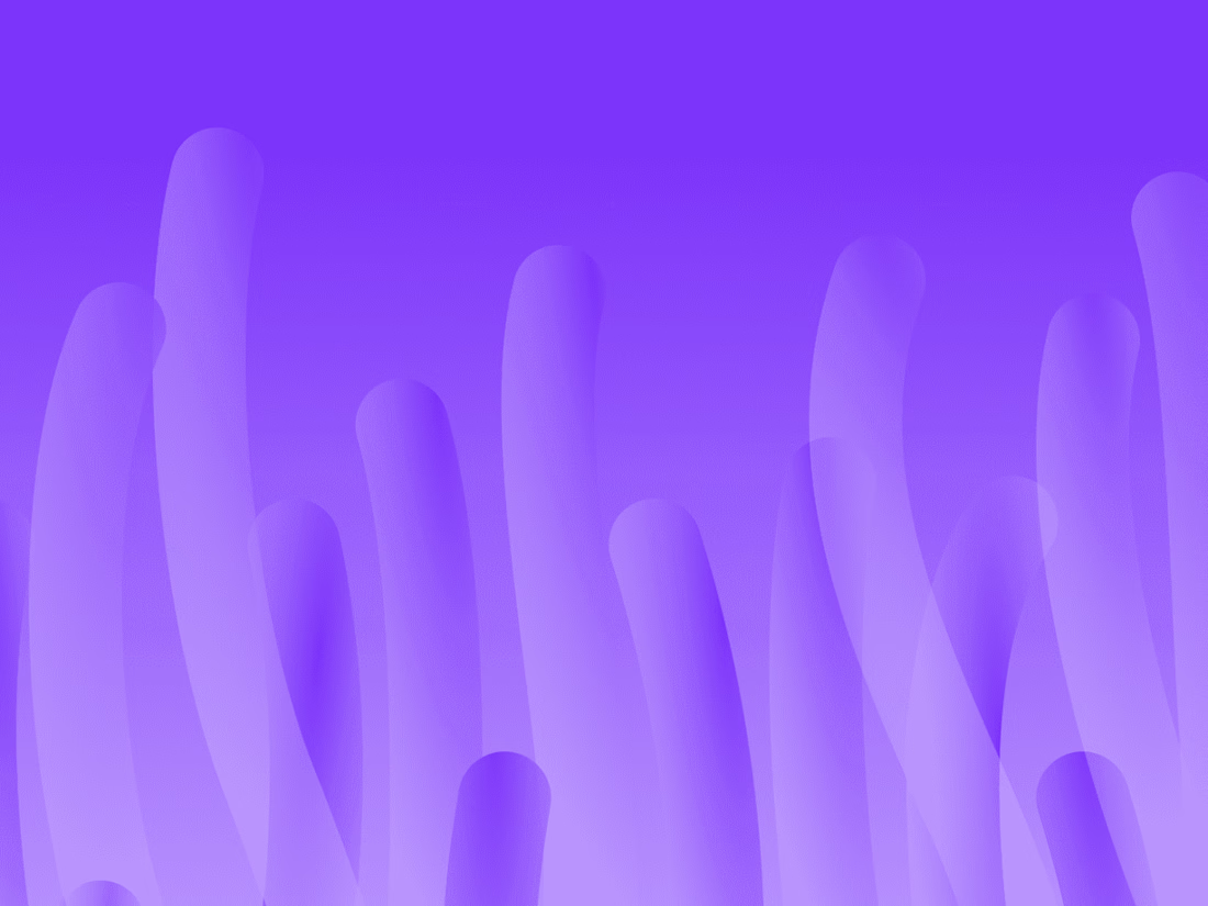 Cover image for mimi
