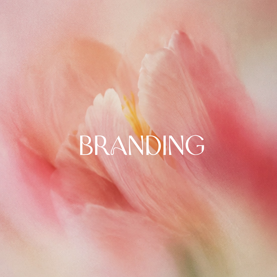 Cover image for Brand Identity Design & Strategy for Startups