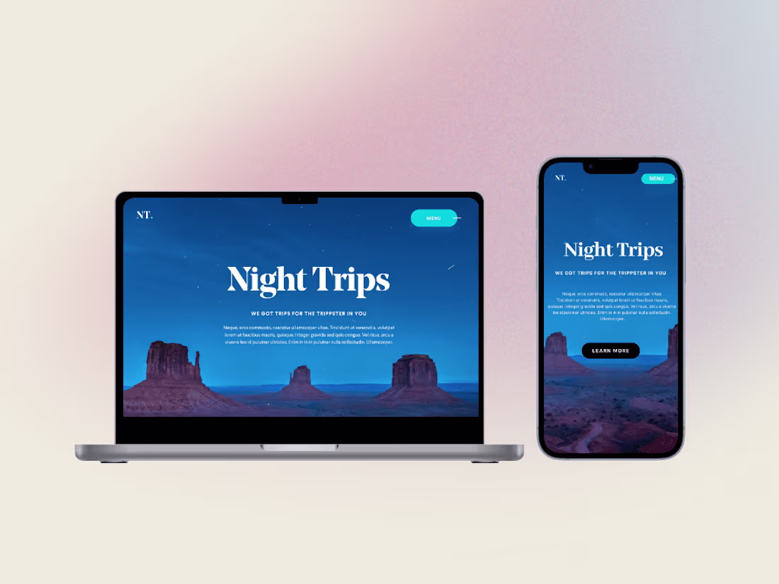 Cover image for Night Trips