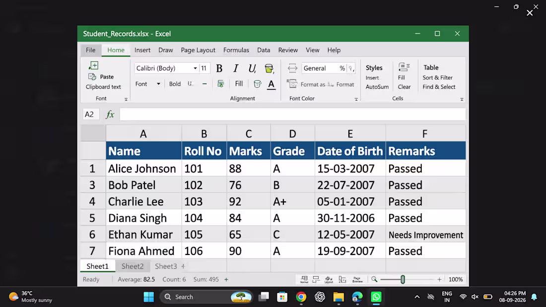 Cover image for Excel Data Entry Sample
