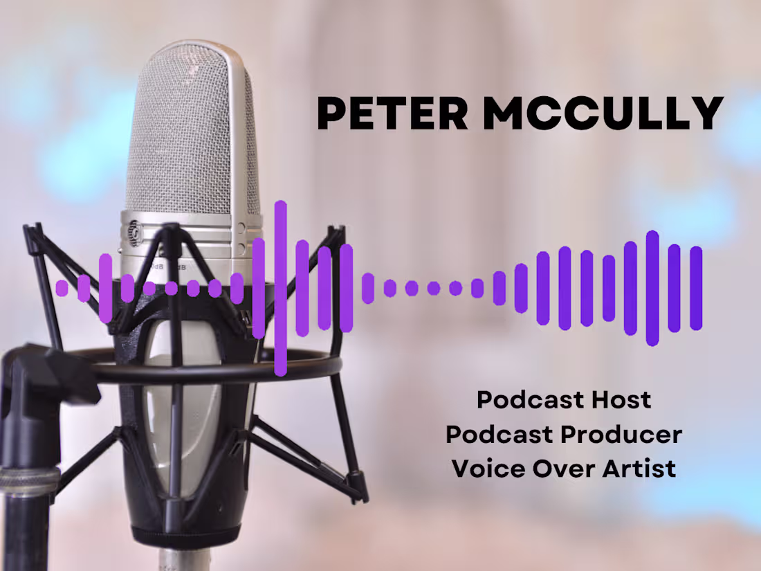 Cover image for Voice Over Artist
