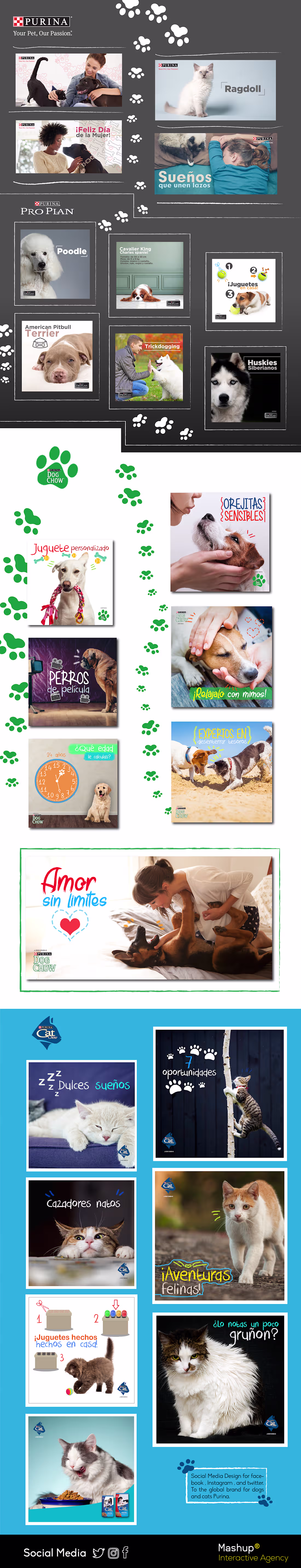 Cover image for Dog Chow Social Media Design
