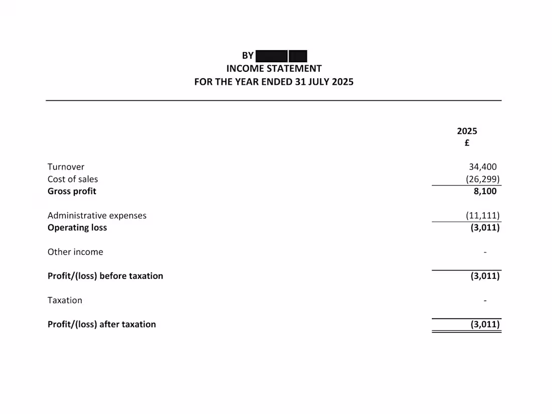 Cover image for • Director’s report and statement