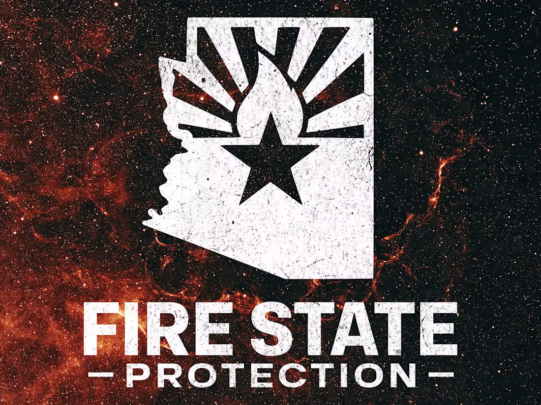 Cover image for Fire State Protection