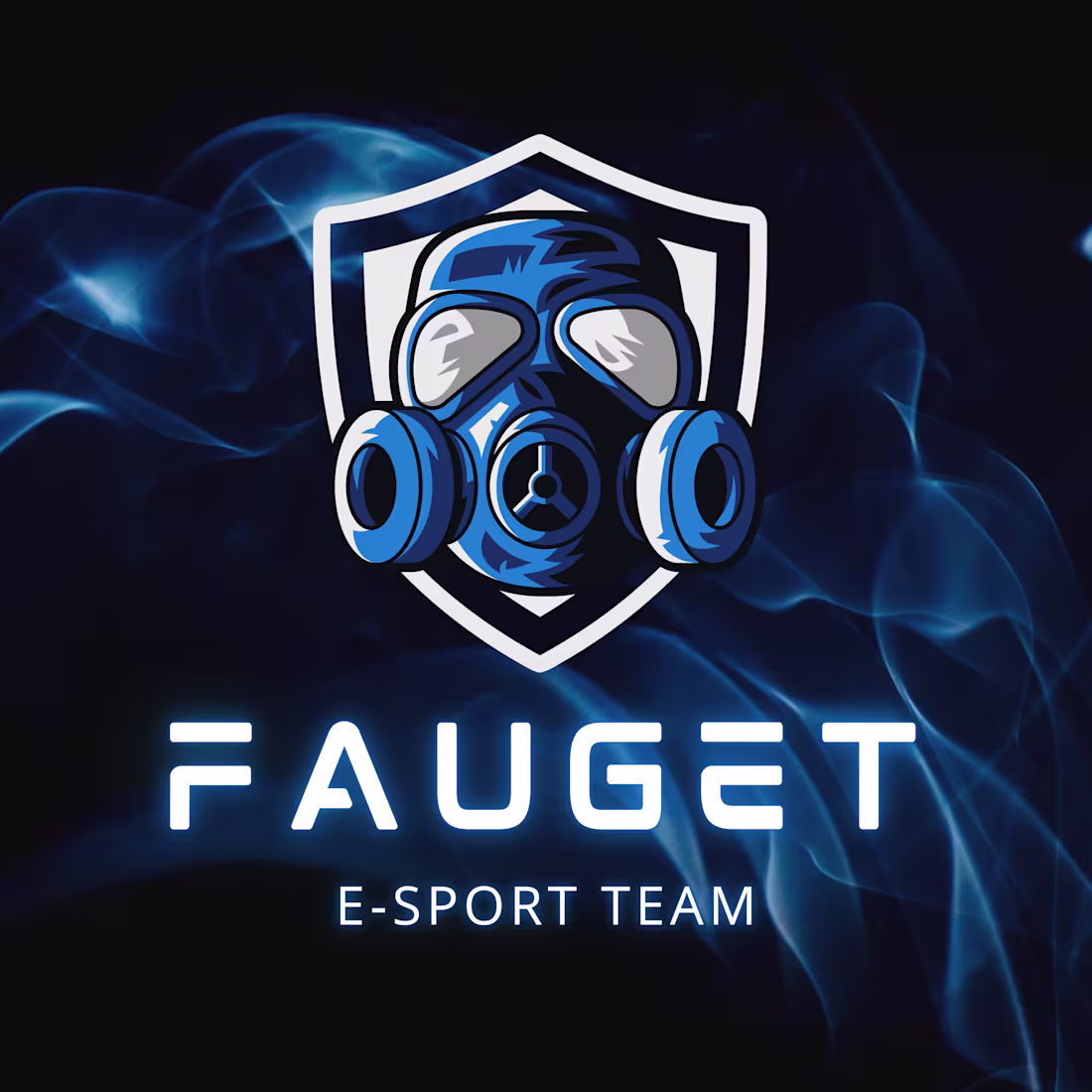 Cover image for FAUGET E-SPORT TEAM
