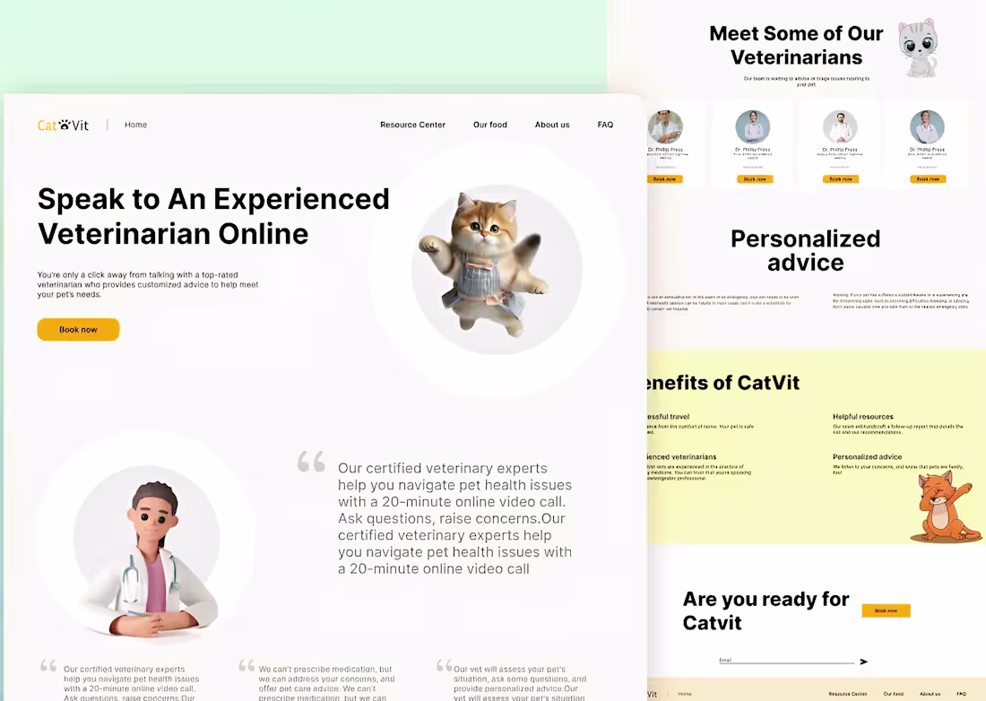 Cover image for Cat Vit Website Development