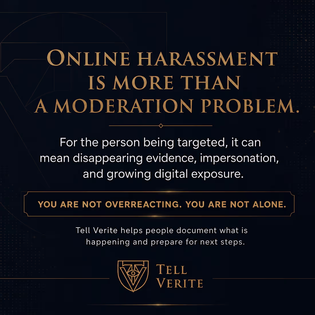 Cover image for Online Harrassment Support, Investigation, Evidence Gathering
