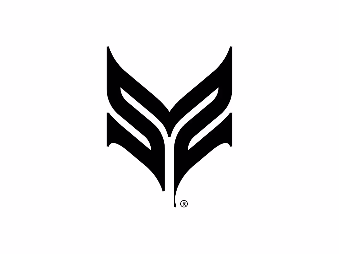 Cover image for M Symbol