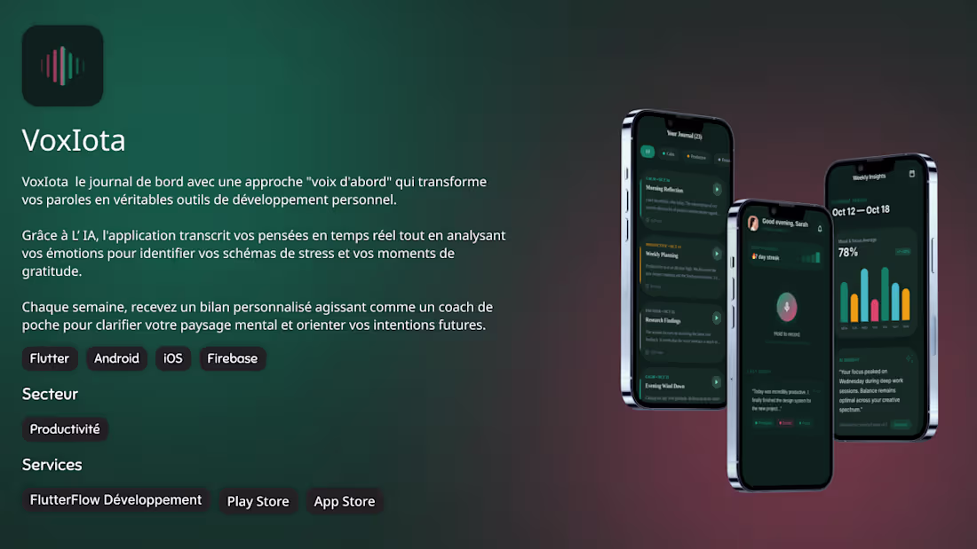 Cover image for VoxIota
