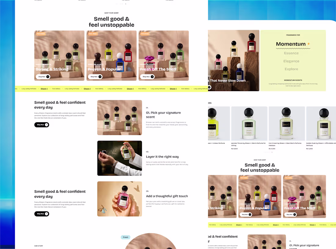 Cover image for WordPress Ecommerce custom store development