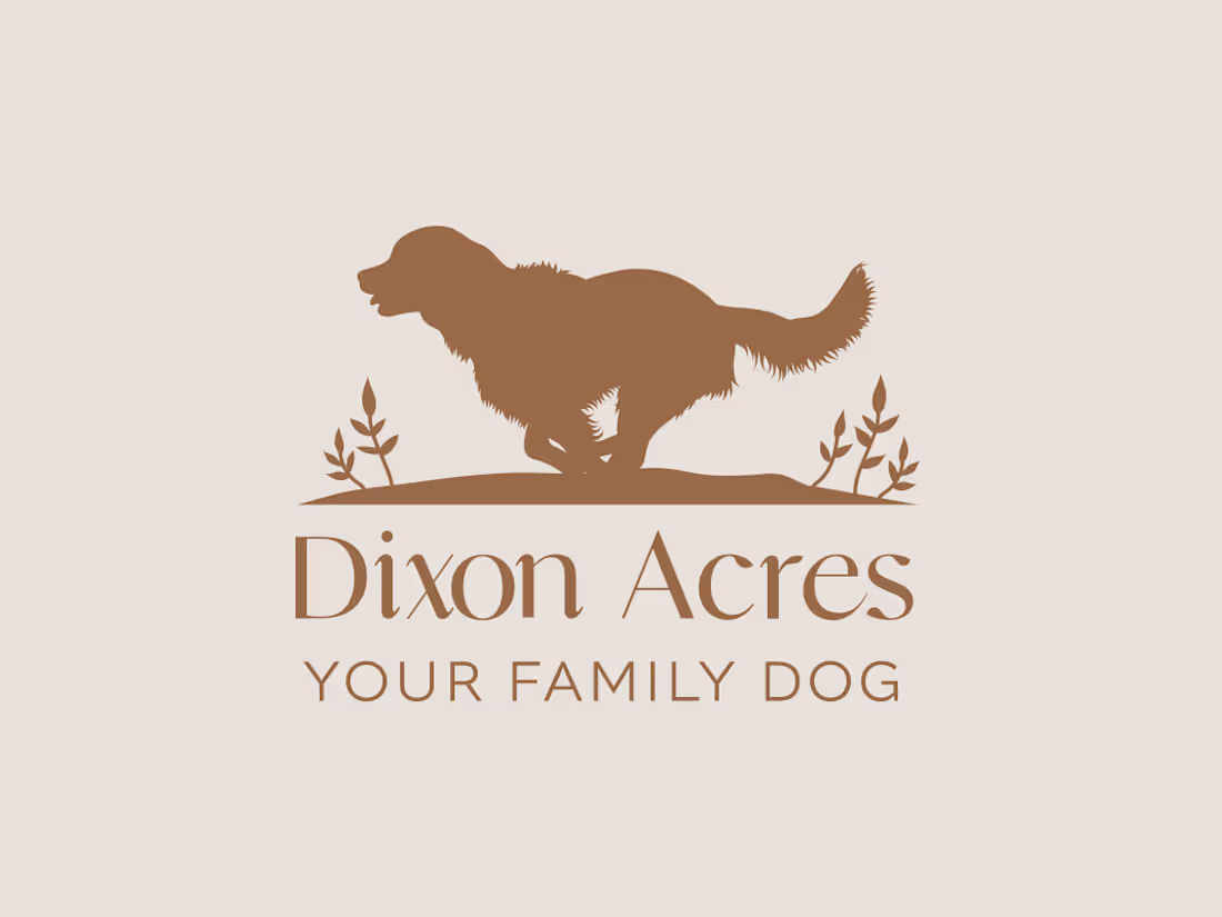 Cover image for Dixon Acres Rebranding