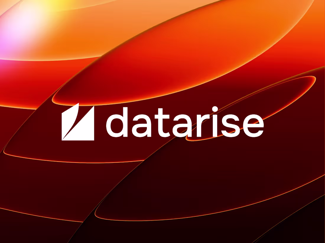 Cover image for Datarise - Brand Identity