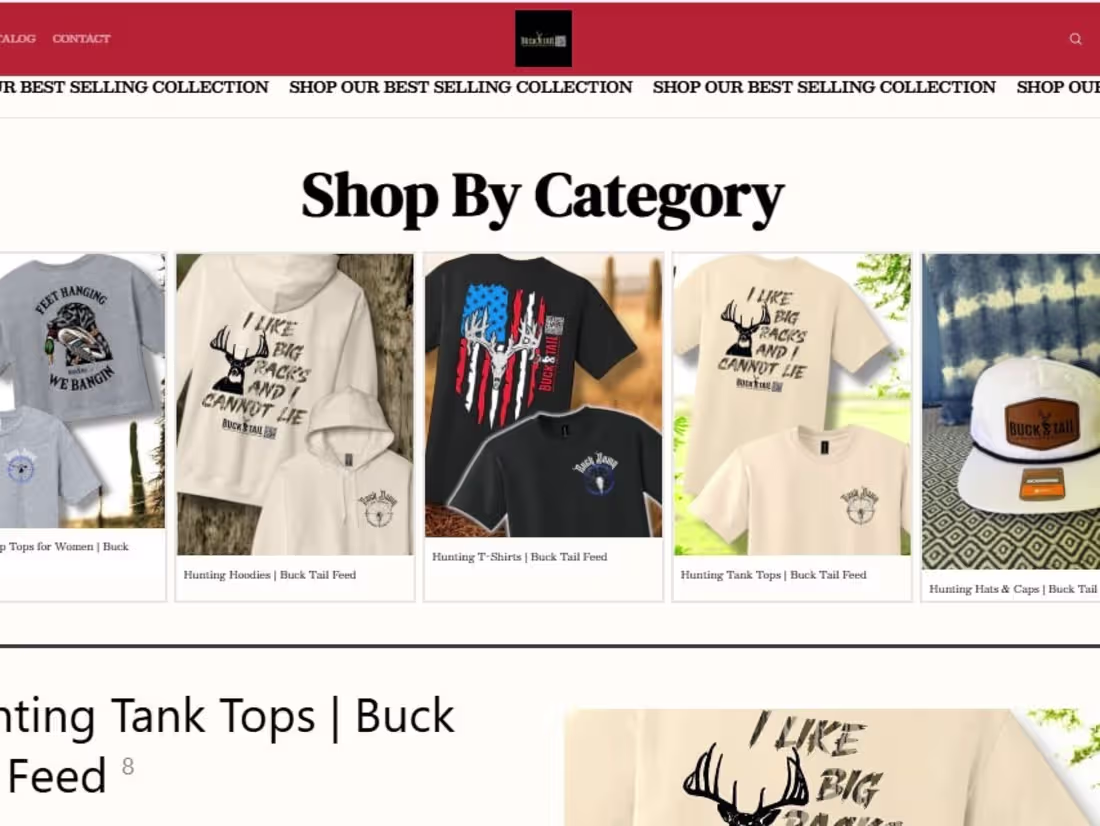 Cover image for Set up your shopify store