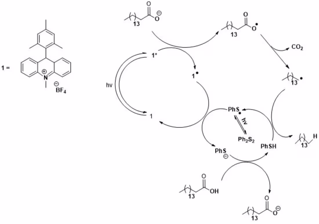 Cover image for I will do chemistry structure or molecule drawing on chemdraw