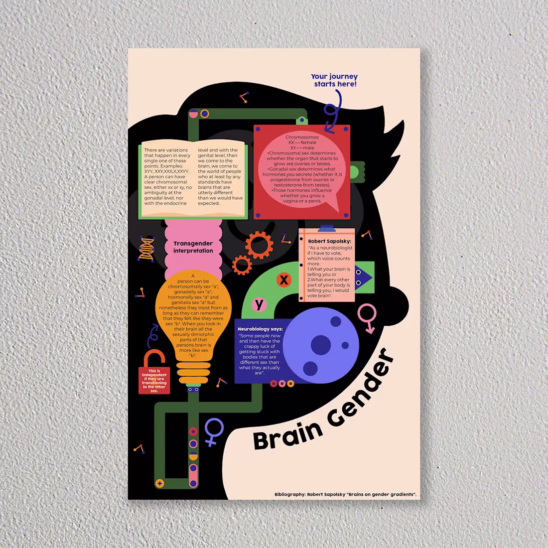 Cover image for Brain Gender
