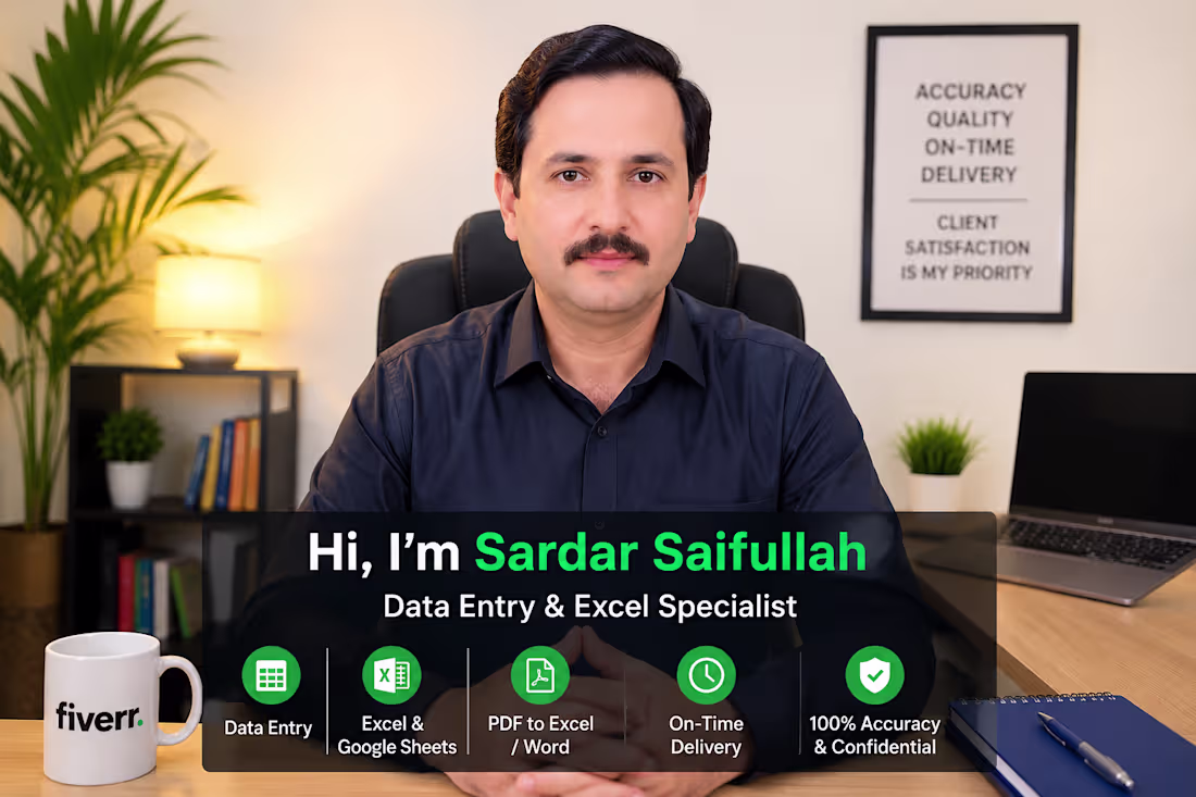 Cover image for A professional Excel data entry