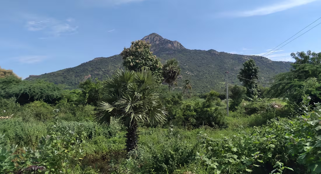 Cover image for Girivalam 46: My Pilgrimage at Arunachala