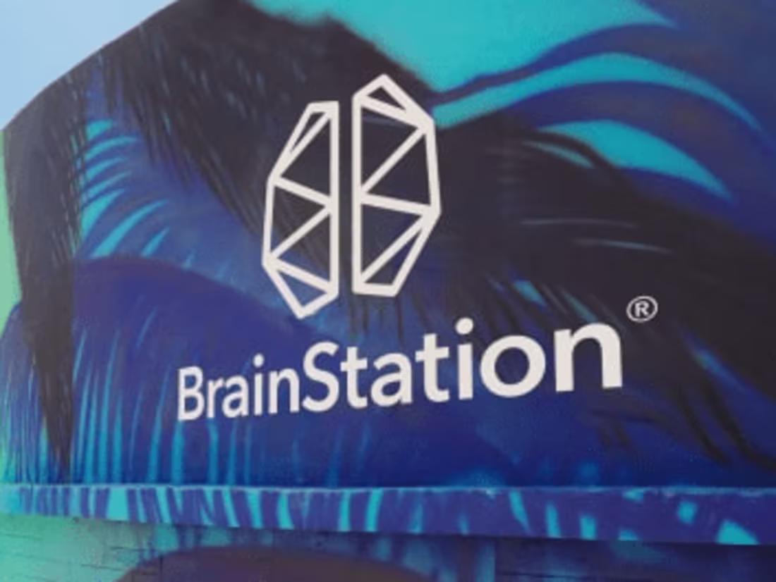 Cover image for Brainstation Miami