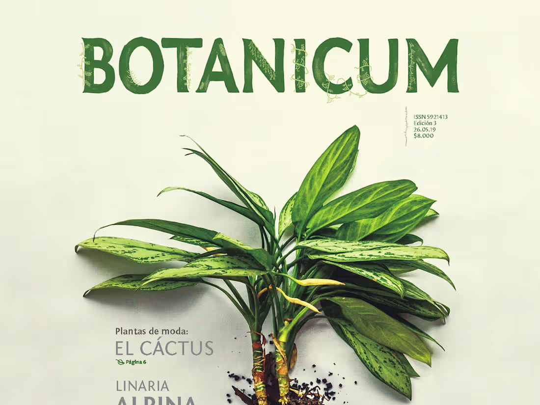 Cover image for Botanicum • Magazine on Behance