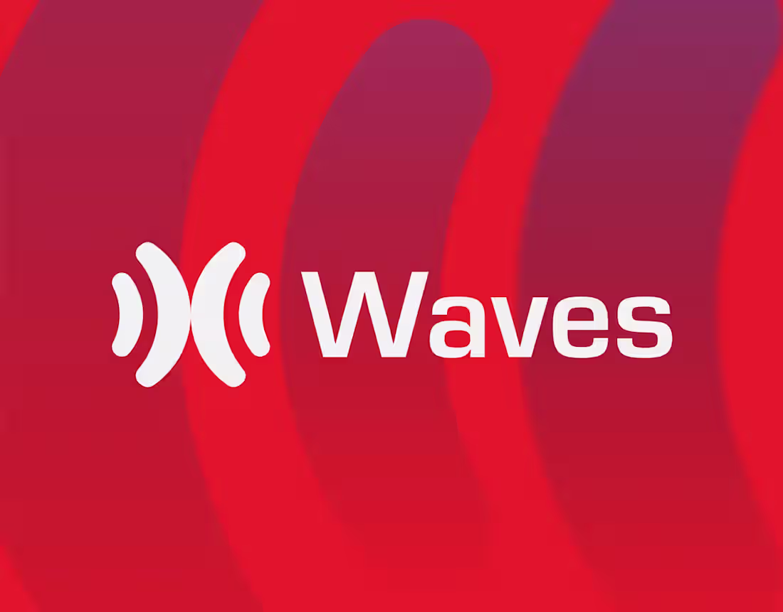 Cover image for Waves