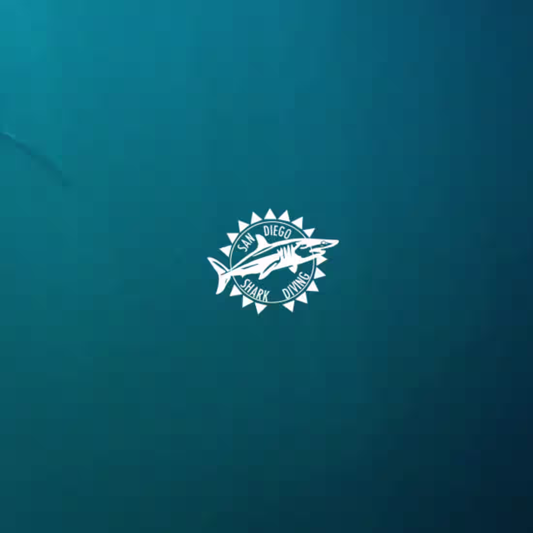 Cover image for Shark Diving, Ad campaign