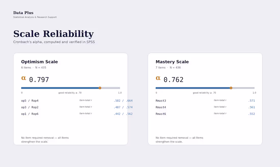Cover image for SPSS Survey Data Analysis: Reliability,