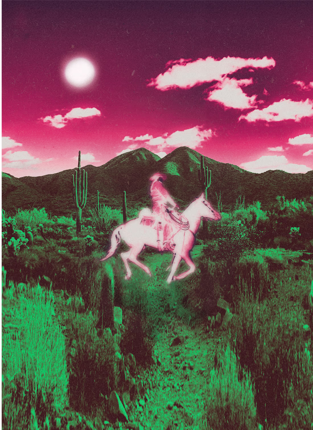 Cover image for Western Dream