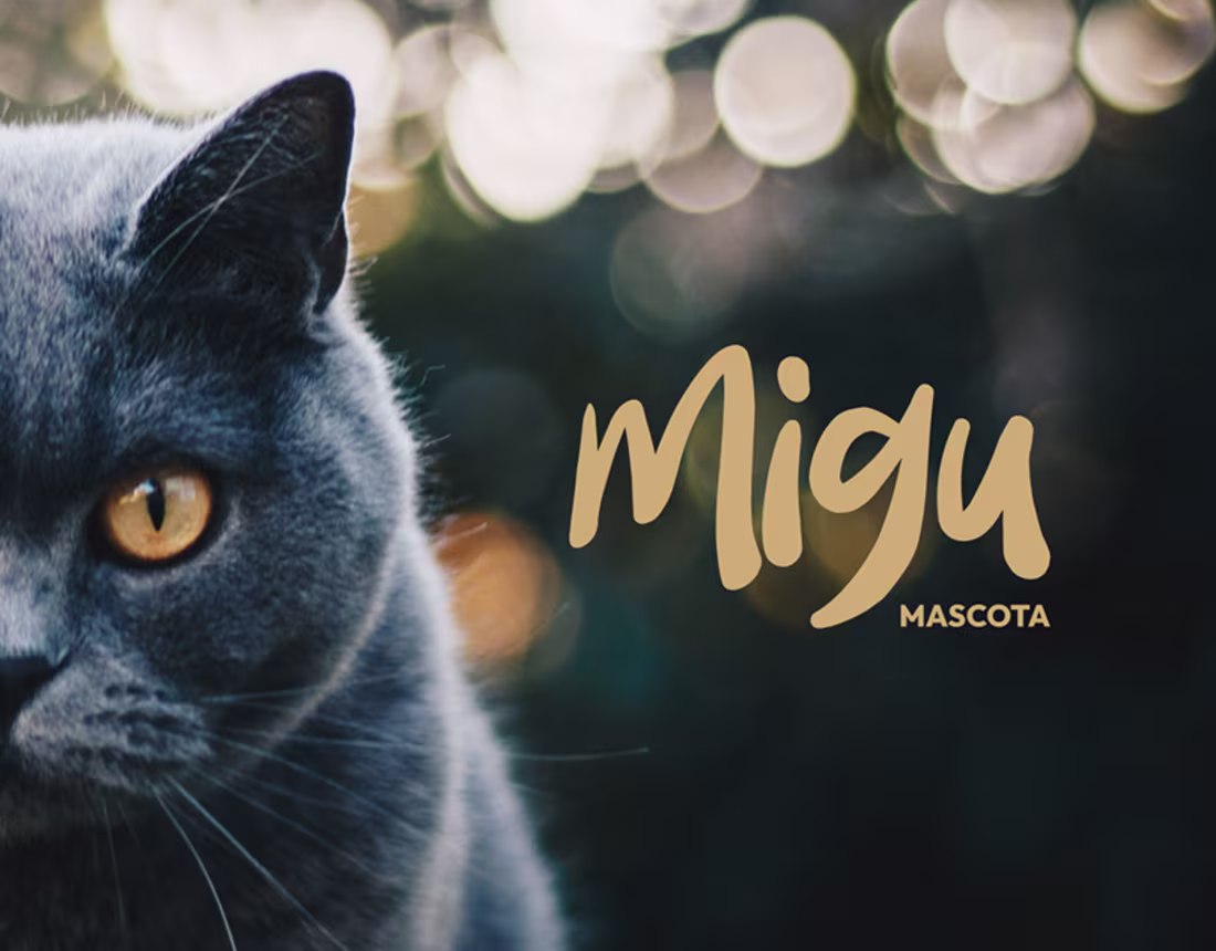Cover image for Migu: Logo, Naming & Brand Identity