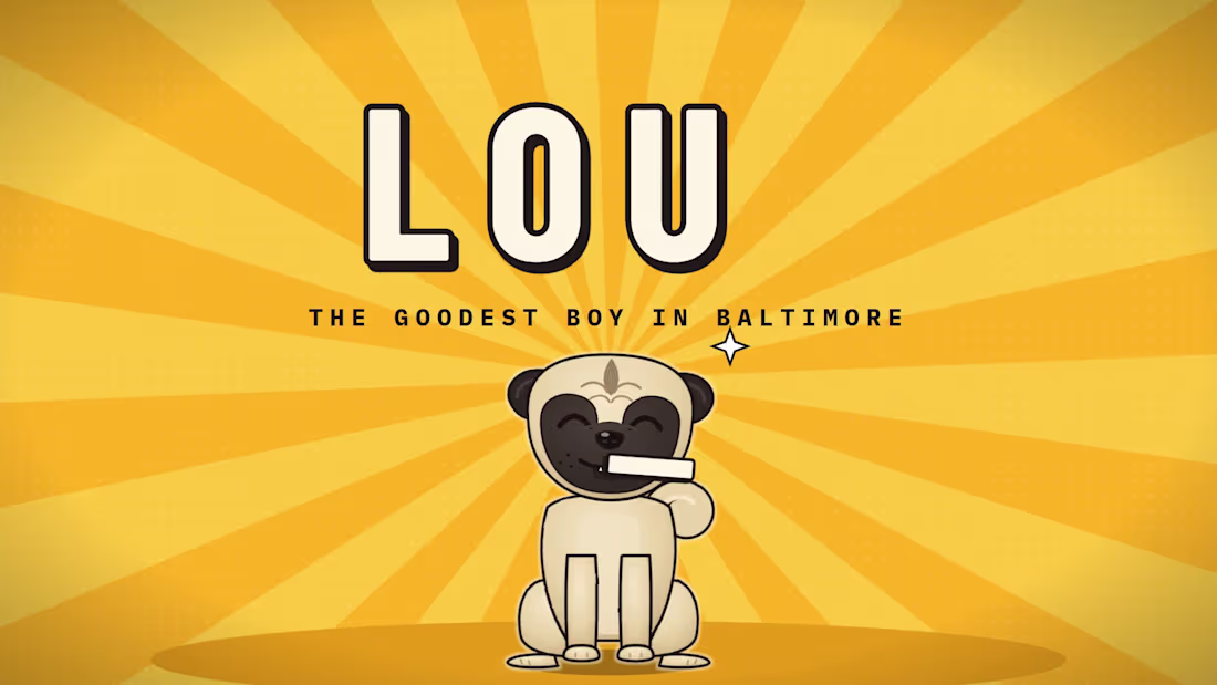 Cover image for Photo-inspired pet animation — 30-second starter
