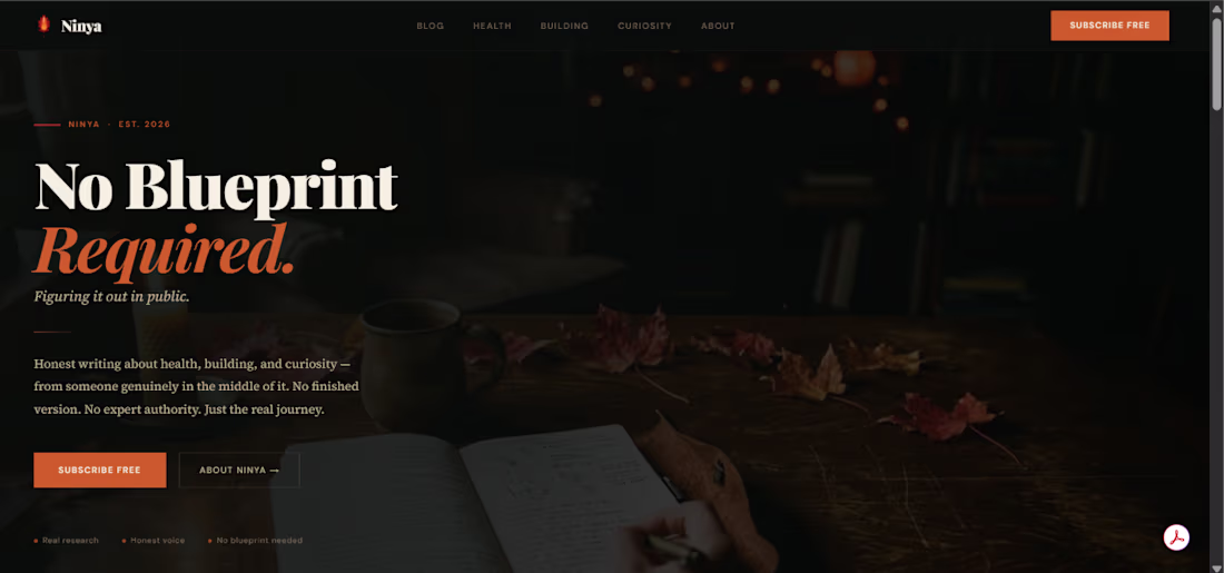 Cover image for Ninya — Brand & Website
