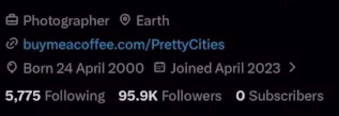 Cover image for Twitter x ads campaign growth to target 95.9k real followers