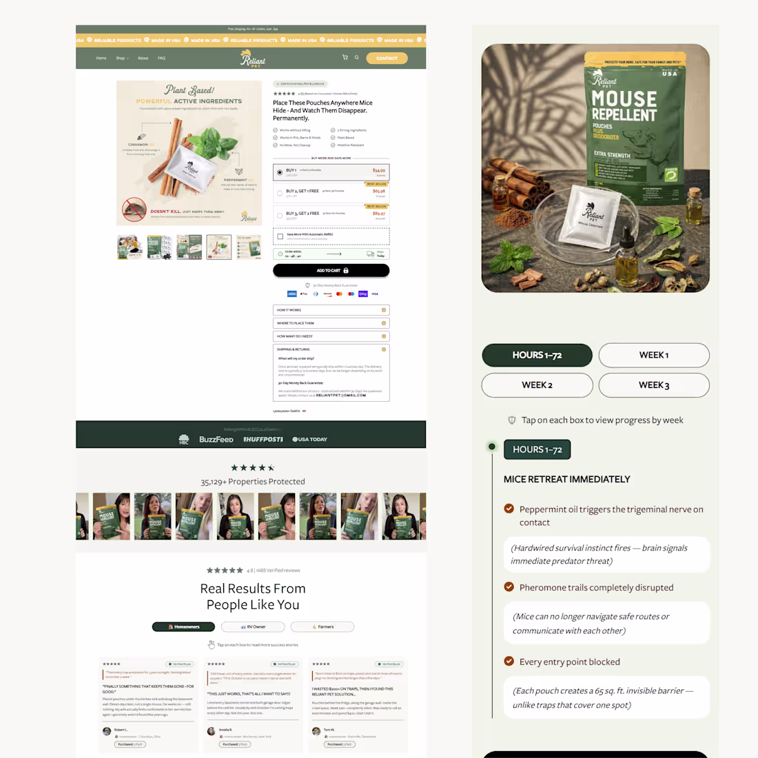 Cover image for This is a full Shopify