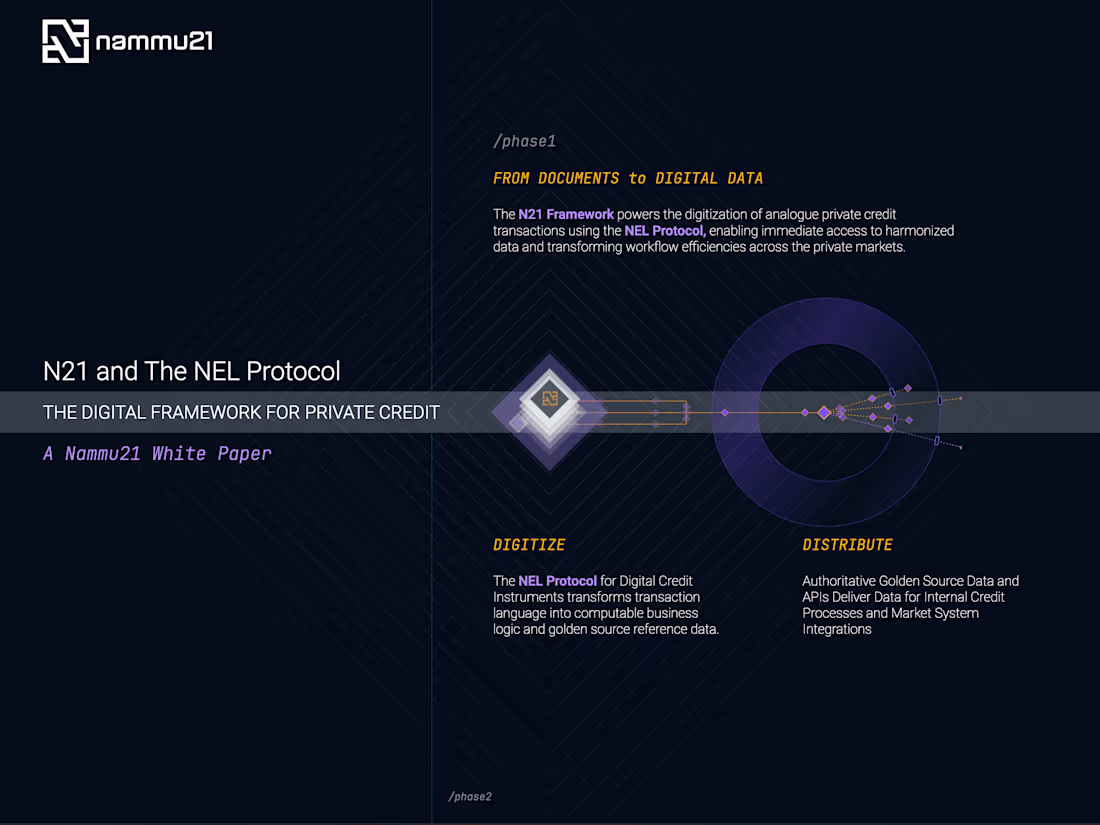 Cover image for End-to-End Webflow Development custom code and vector animation
