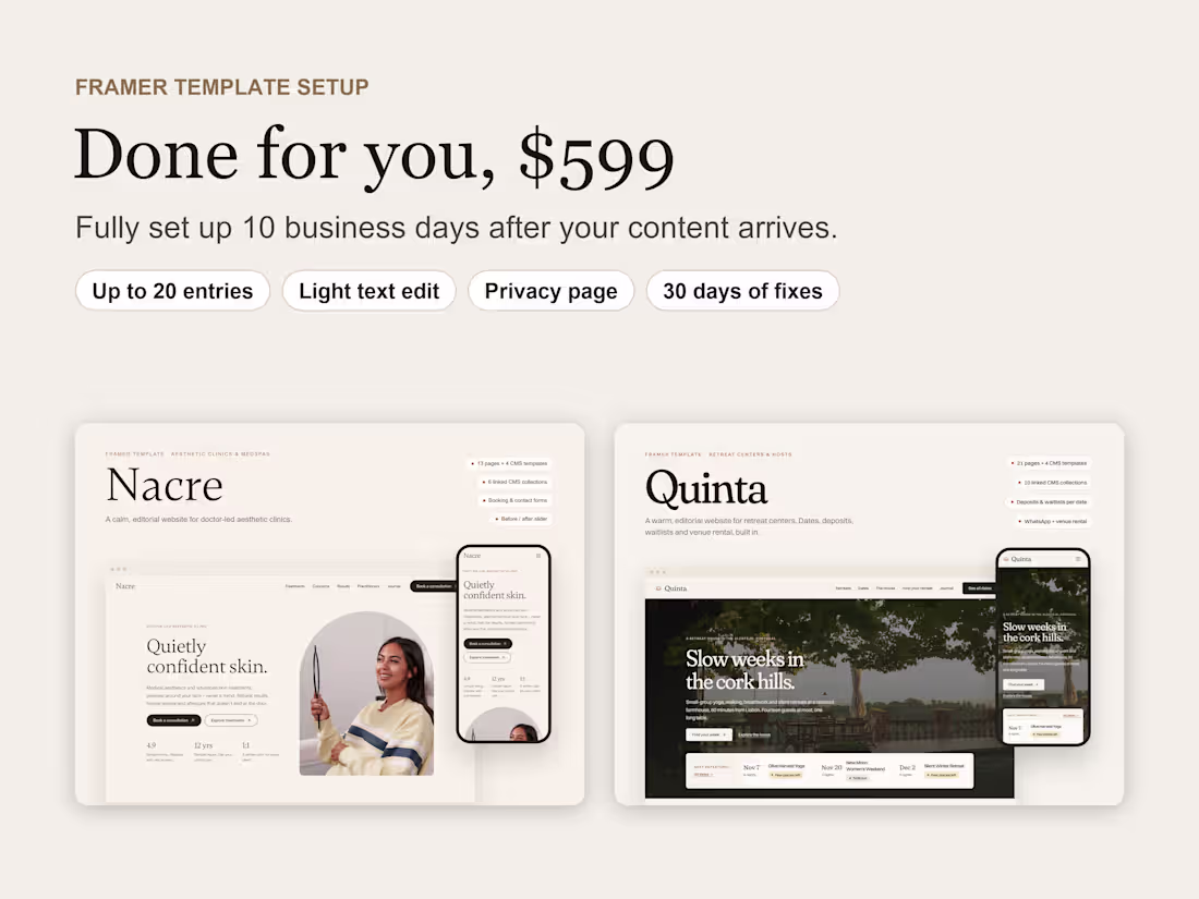Cover image for Framer template setup - Done for you