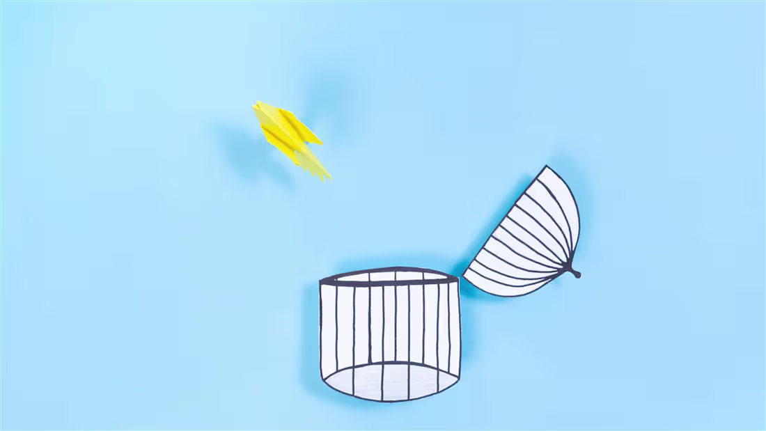 Cover image for Freedom. Stop motion animation.