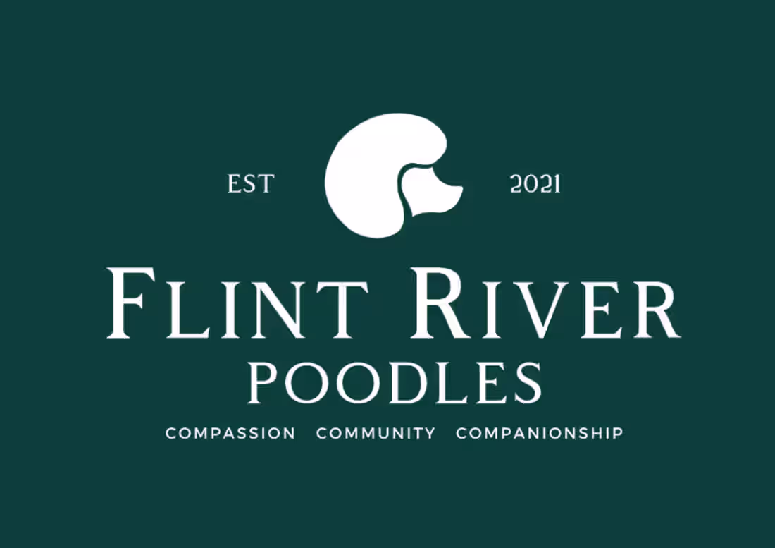 Cover image for Brand Design + Strategy for Flint River Poodles