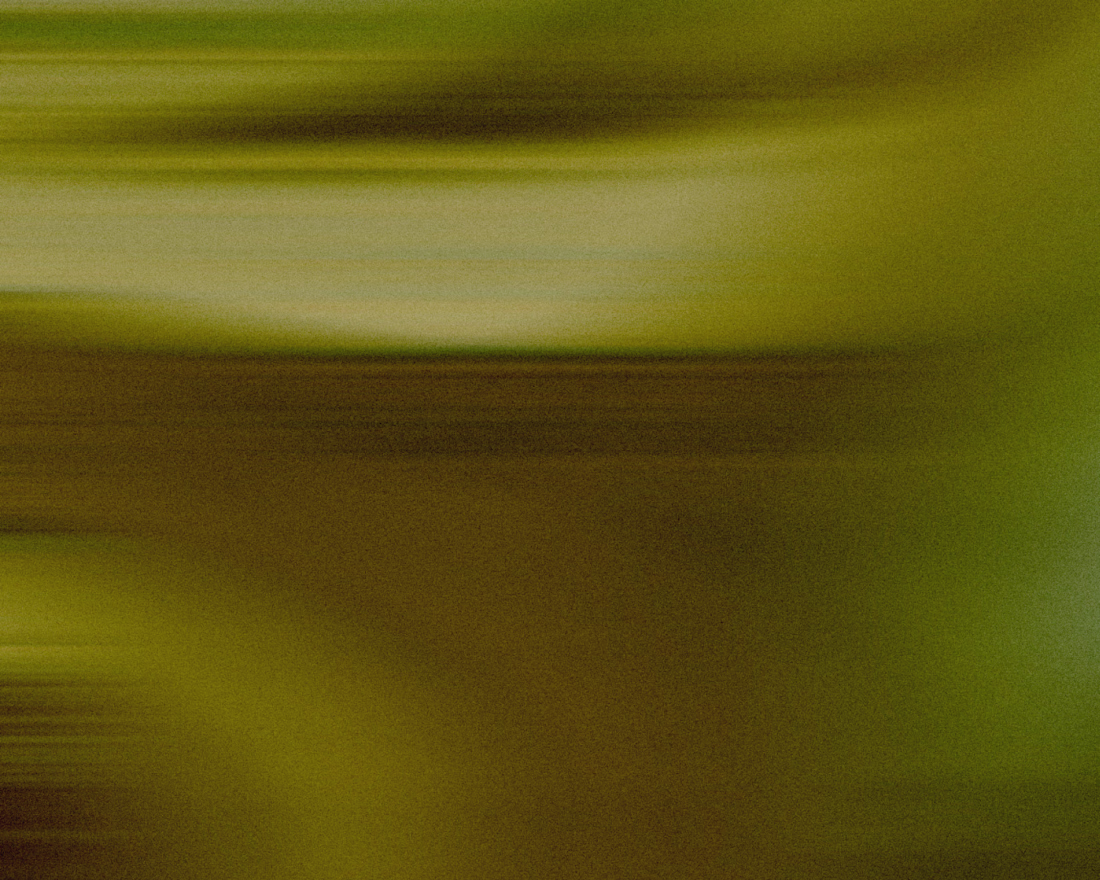 Cover image for Brand  Visual Identity