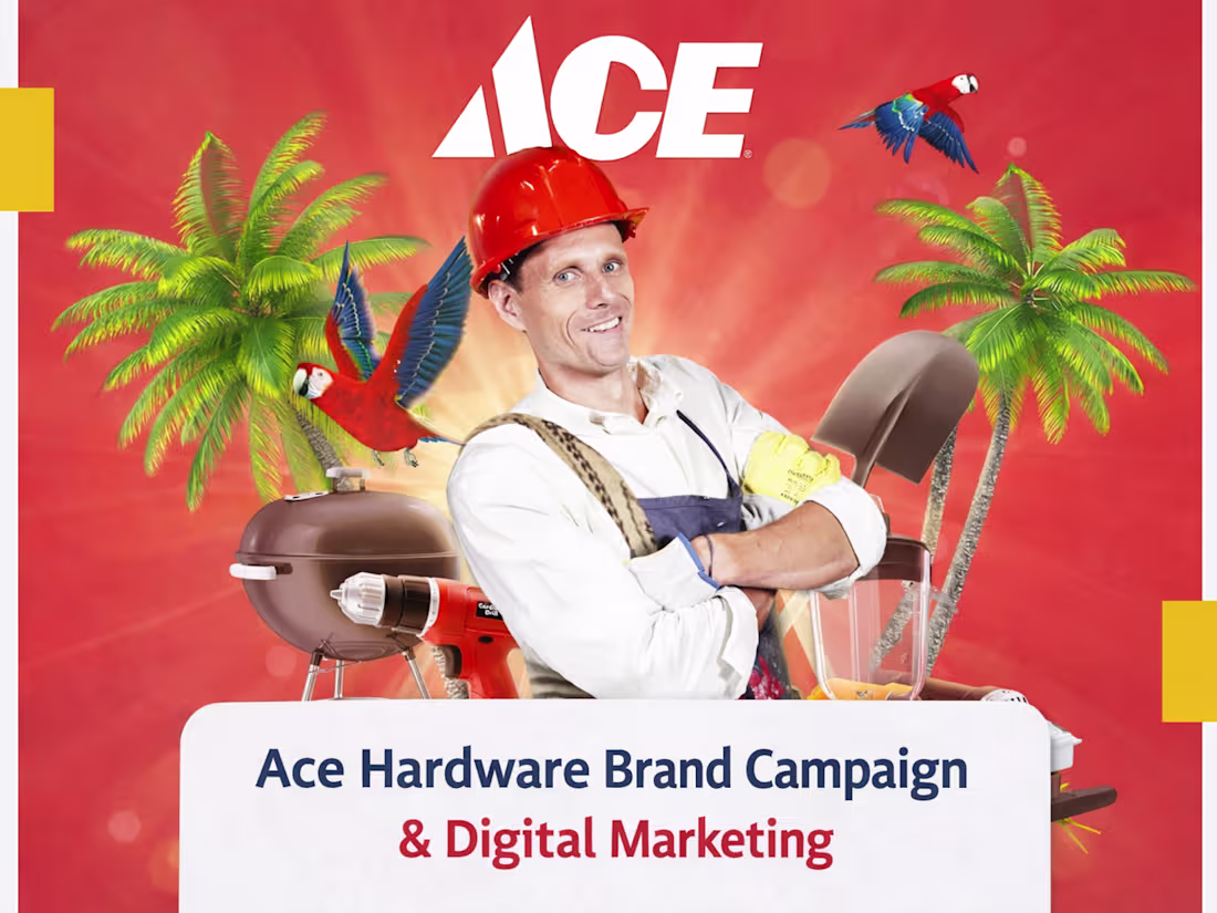Cover image for Brand Repositioning for ACE Orzuma