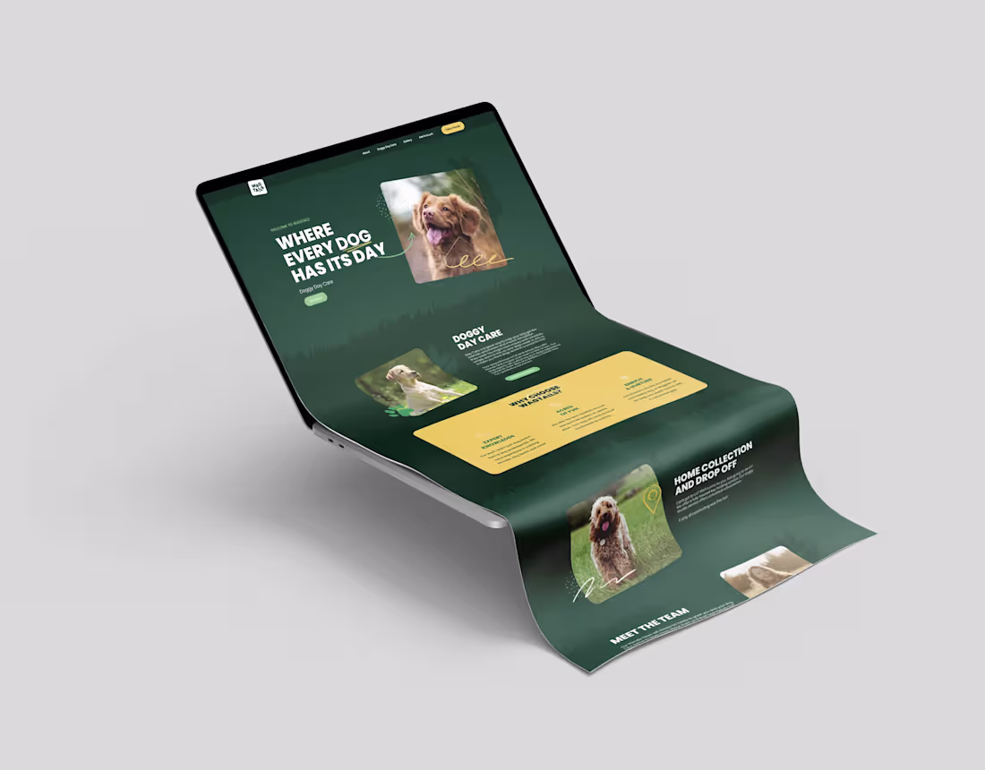 Cover image for  Wagtail - Wordpress
