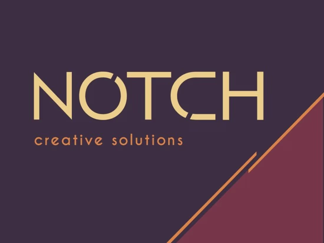 Cover image for Notch 