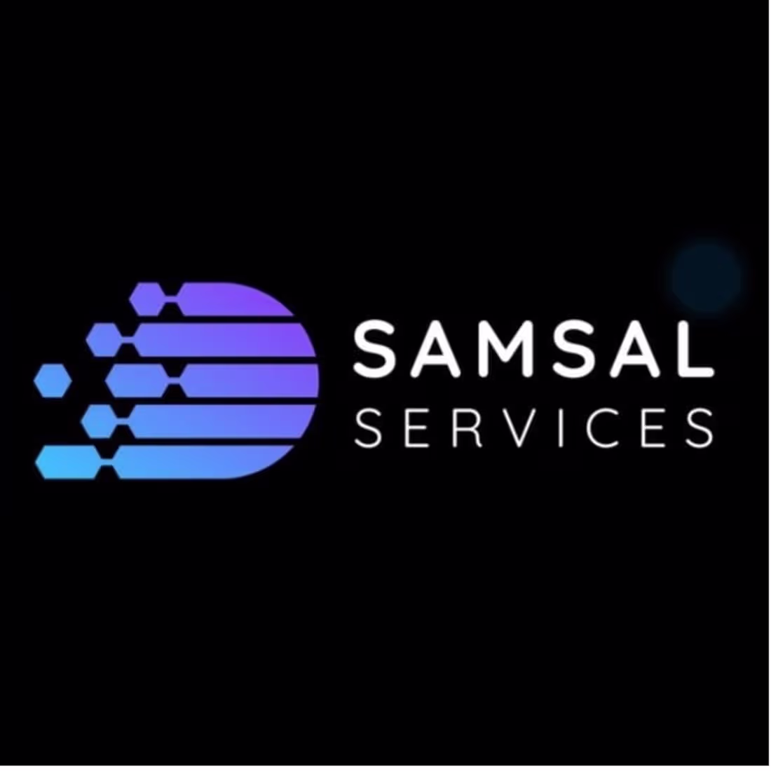 Cover image for SAMSAL SERVICES 