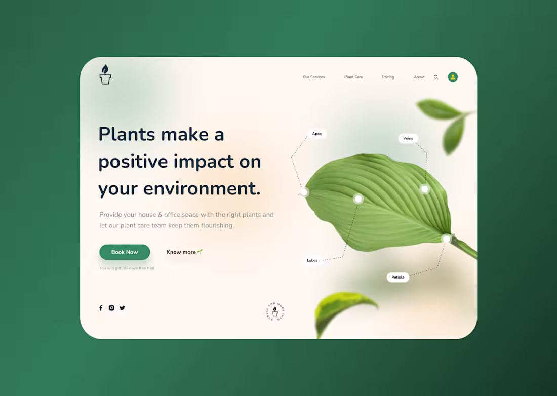 Cover image for Plant Project 🌱